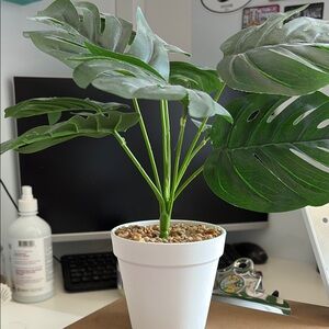 Artificial Green Plant in White Pot